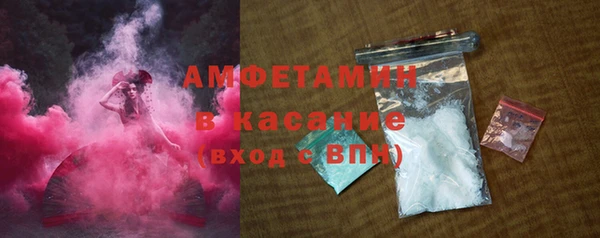 индика Арсеньев