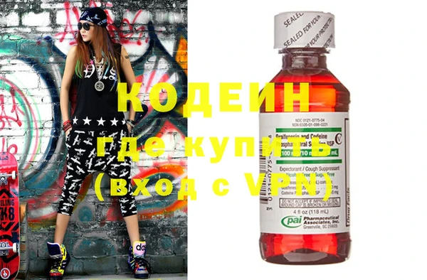 индика Арсеньев
