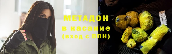 индика Арсеньев