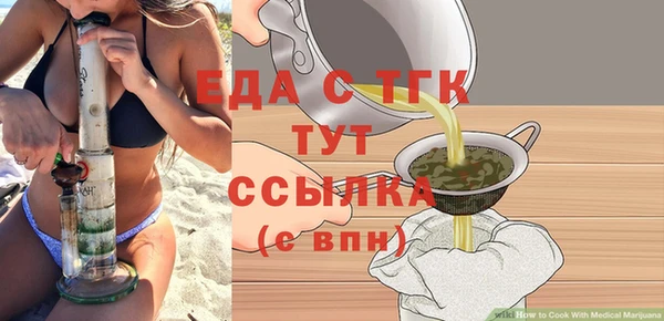 индика Арсеньев