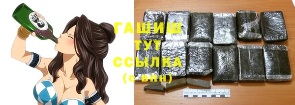 индика Арсеньев