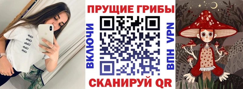 мега ONION  Полярный  Псилоцибиновые грибы Psilocybe  где купить  